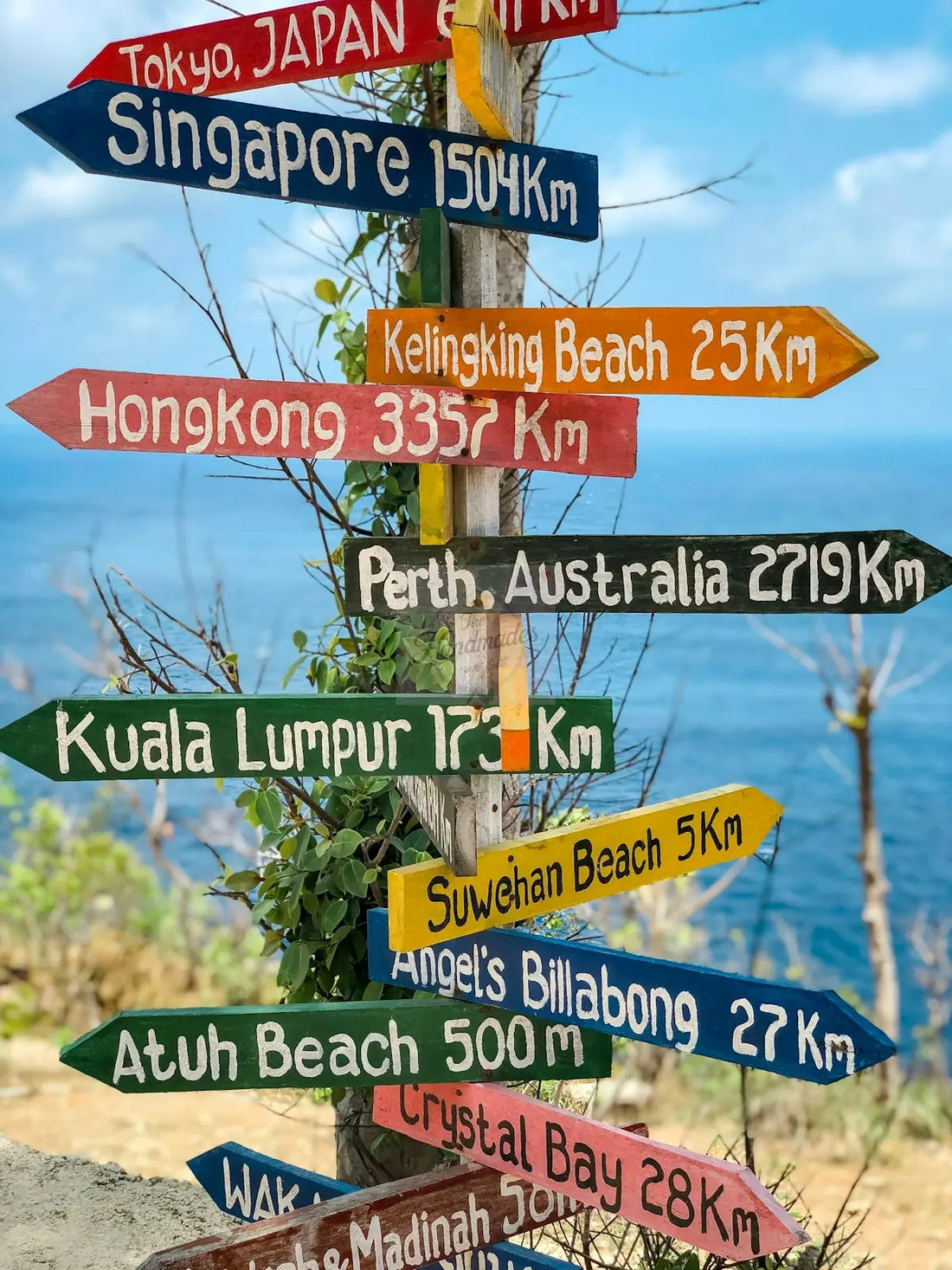 assorted-color arrow signages